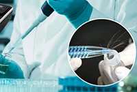 Toxicology Hair Test